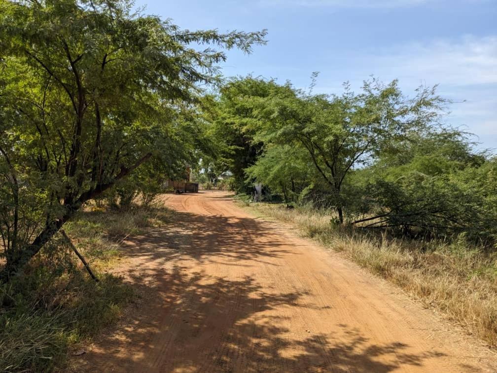 La Maison Blanche Ndangane Exteriér fotografie